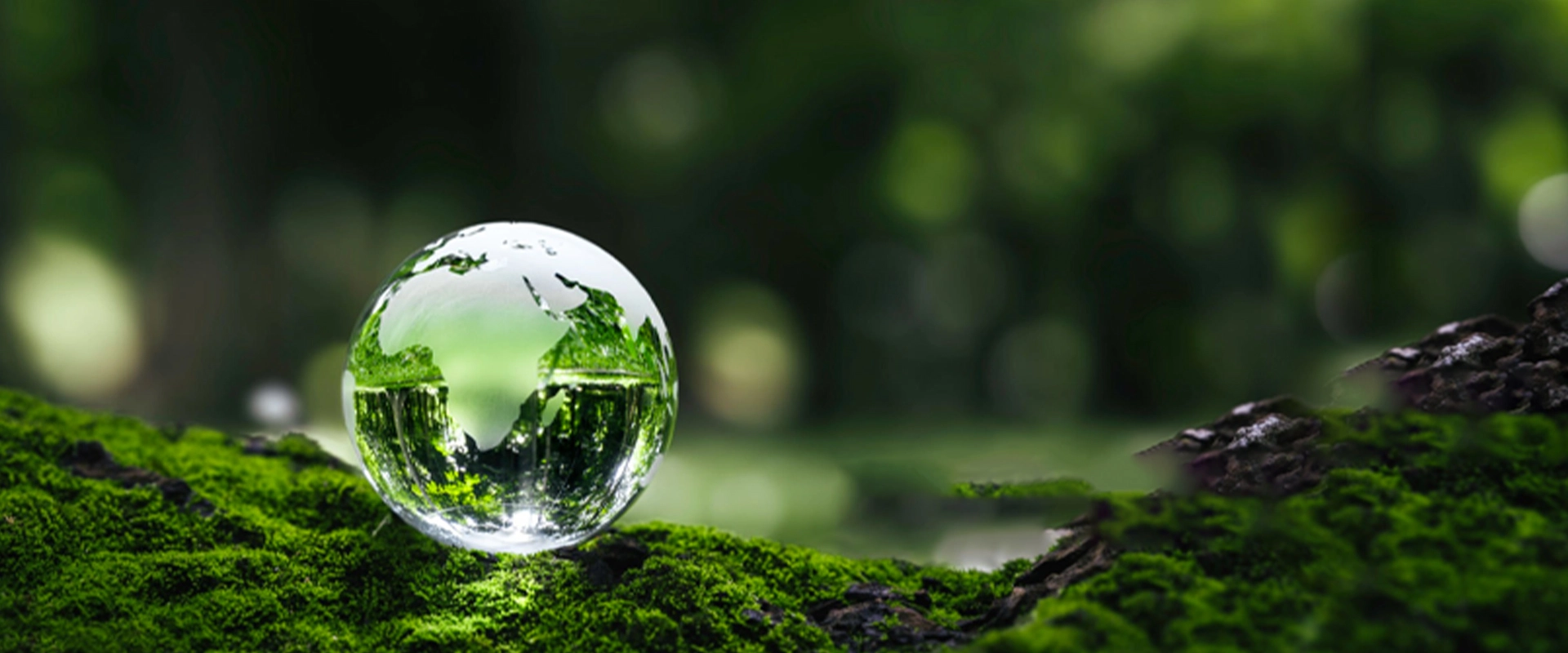 Có phụ gia bê tông thân thiện với môi trường không?