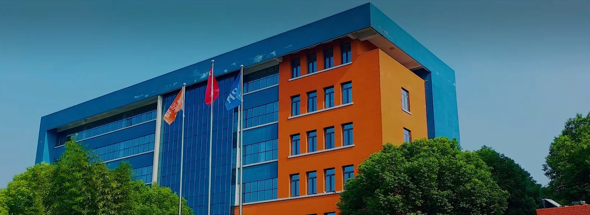 Giới thiệu về công ty