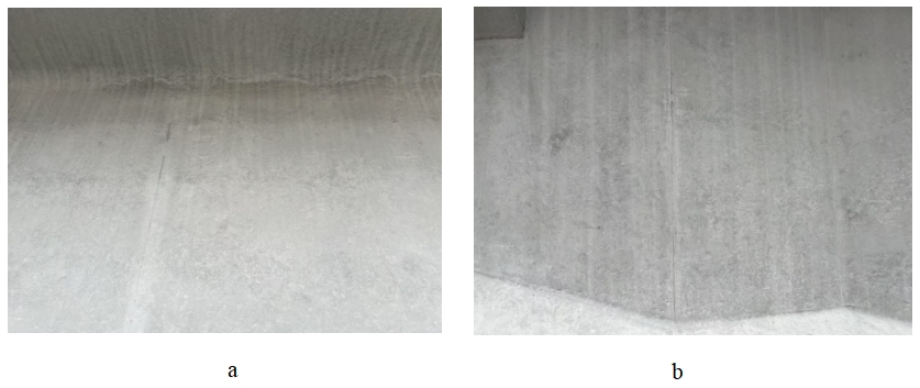 On-site mold removal picture